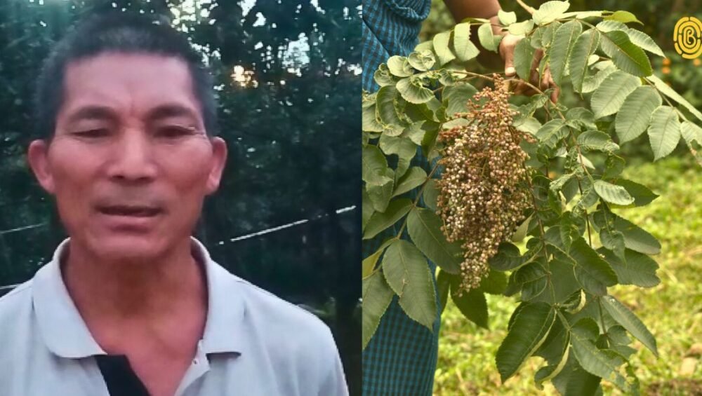 Bee-natural-sumac-spice-farmer-north-east-India